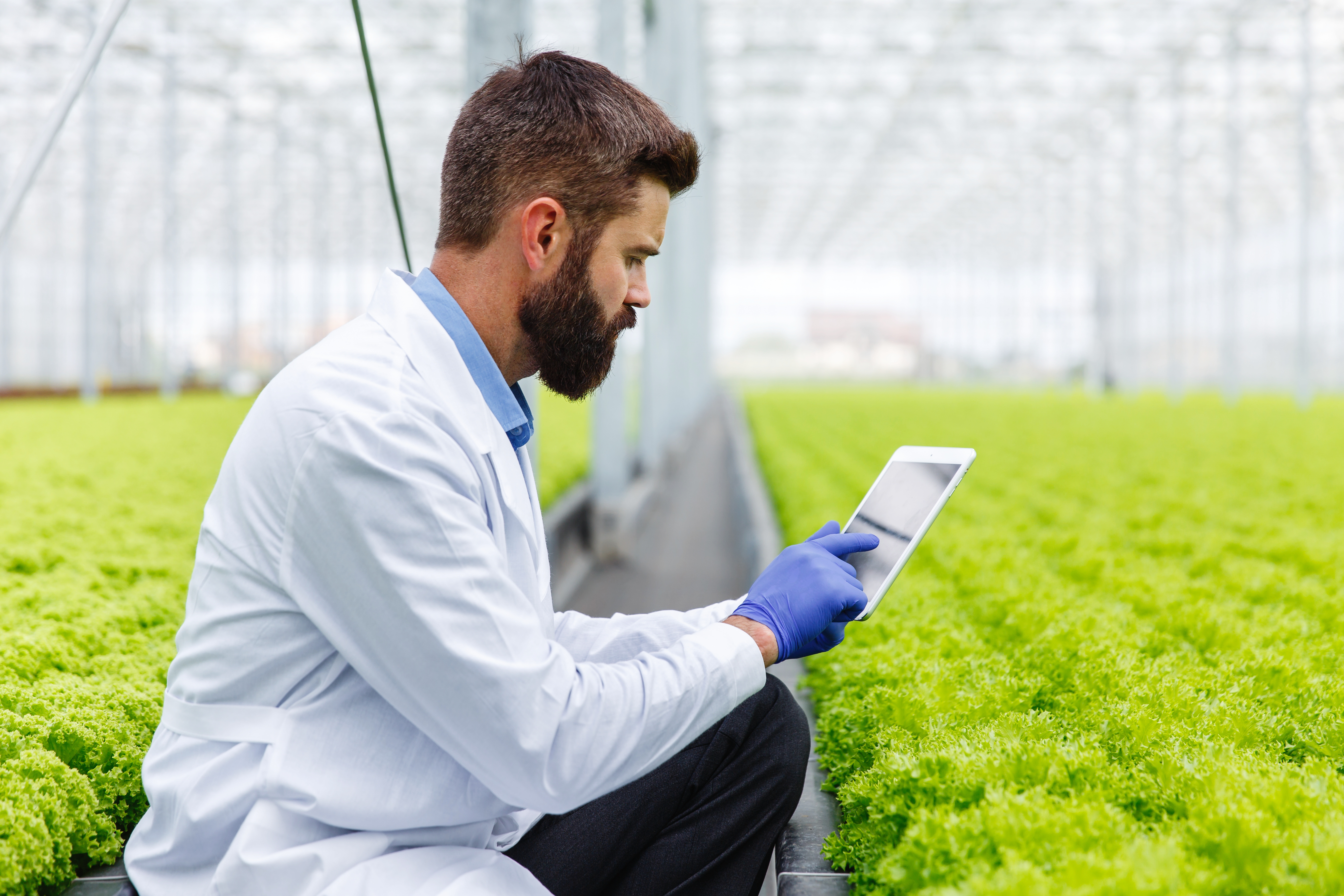 Agriculture and Agrometeorology