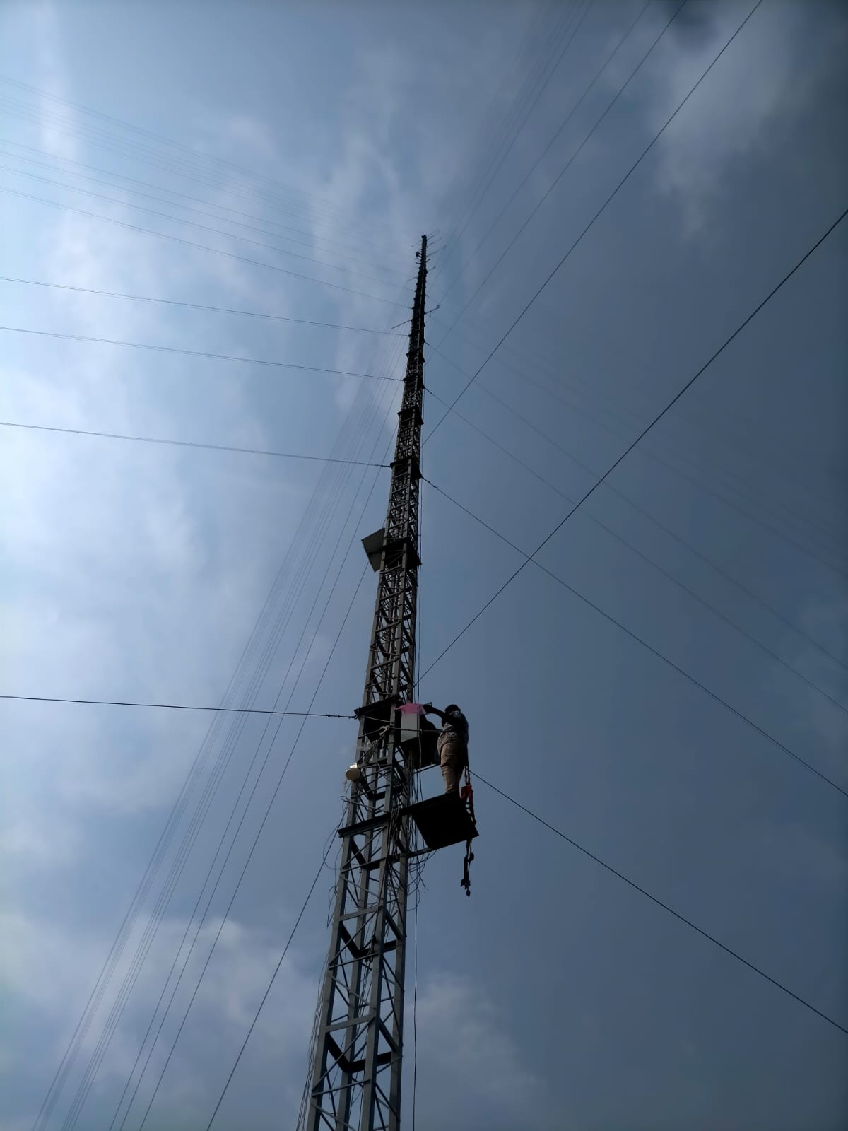 Image 3